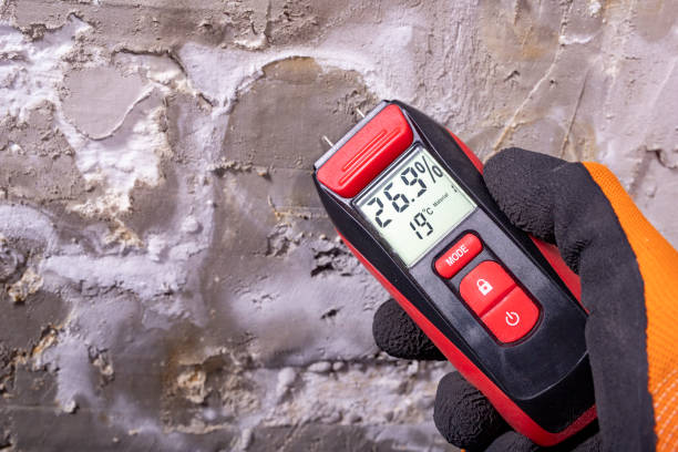 Attic Mold Removal in Dayton, TX